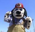 Homer Peoria Chiefs Elmwood IL